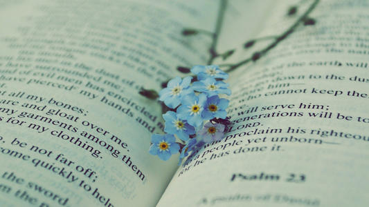 �������ں���Ů�����ּ����ͣ�����Ů�����ִ�Ԣ���