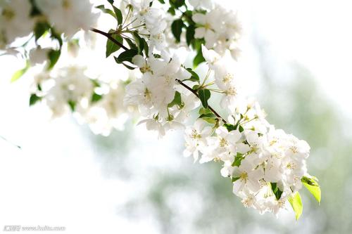 ����Ů�����ּ򵥴������������������Ů������