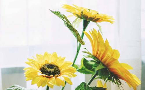 �к��������������ּ����ͣ��к�����ȡ��������а�