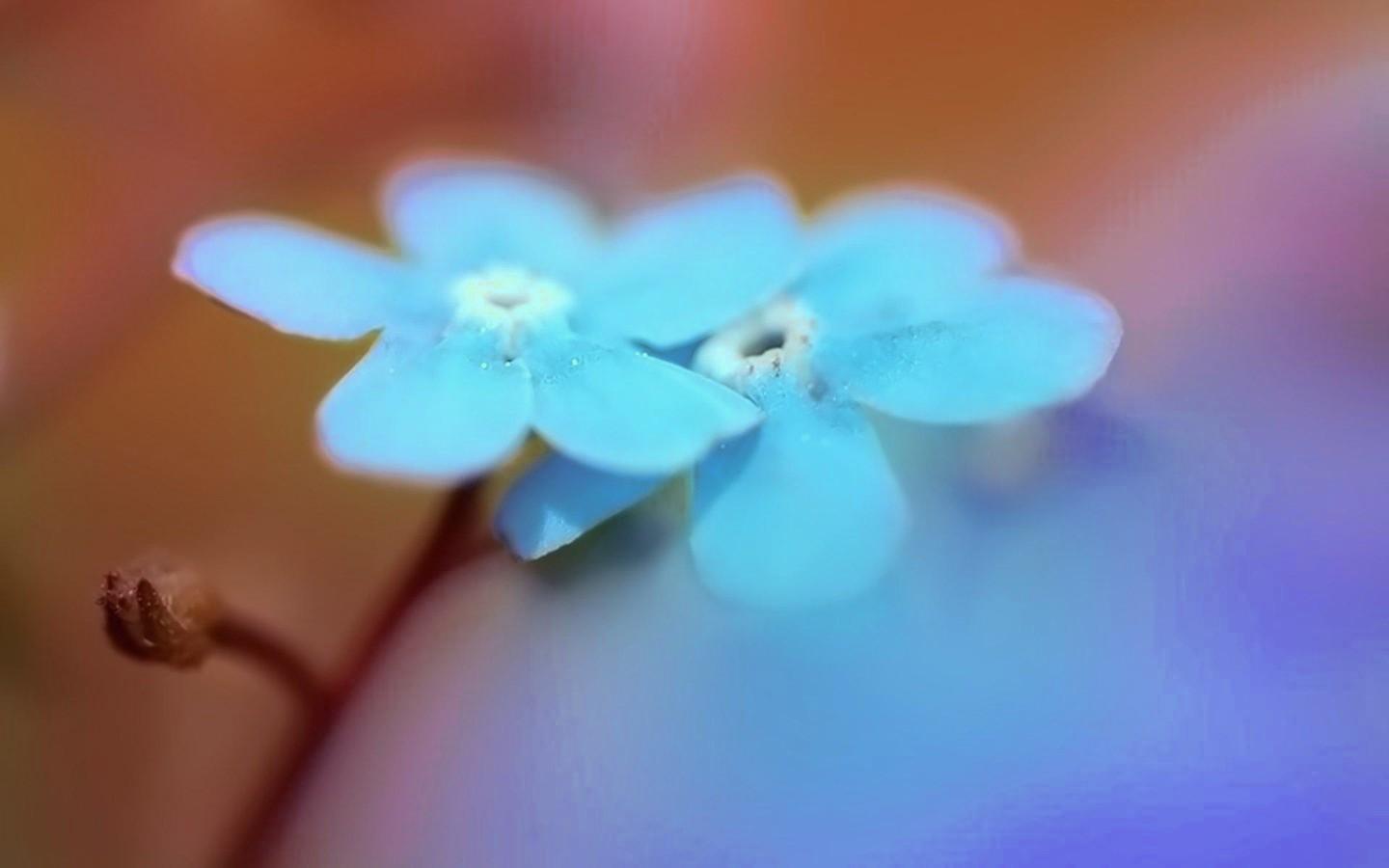 ʫ����Ԣ�����õ�Ů�����֣�Ů��ʫ��ȡ���ִ�ȫ��