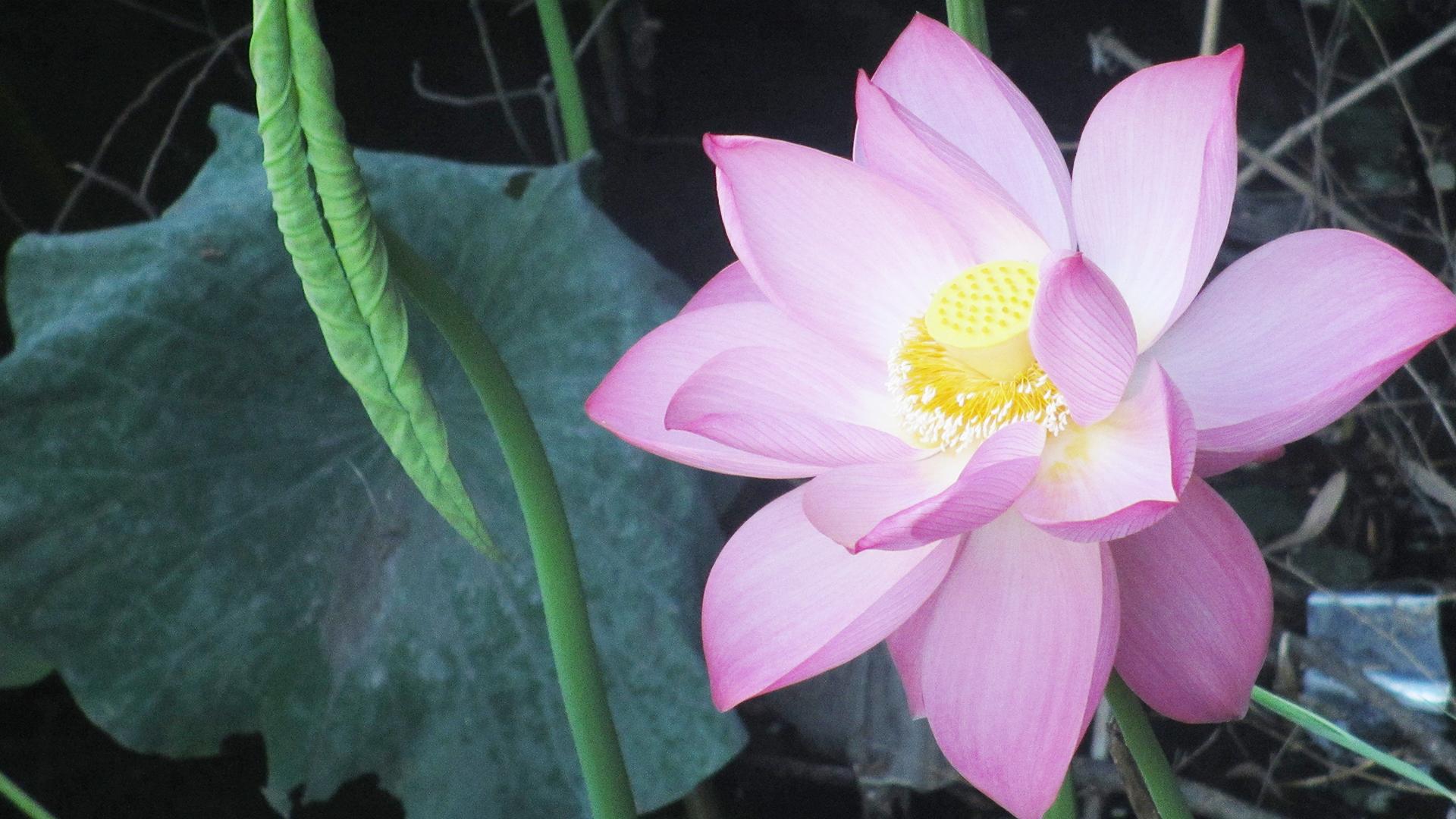 ������Ů�������������ں��ģ�����Ů��������������