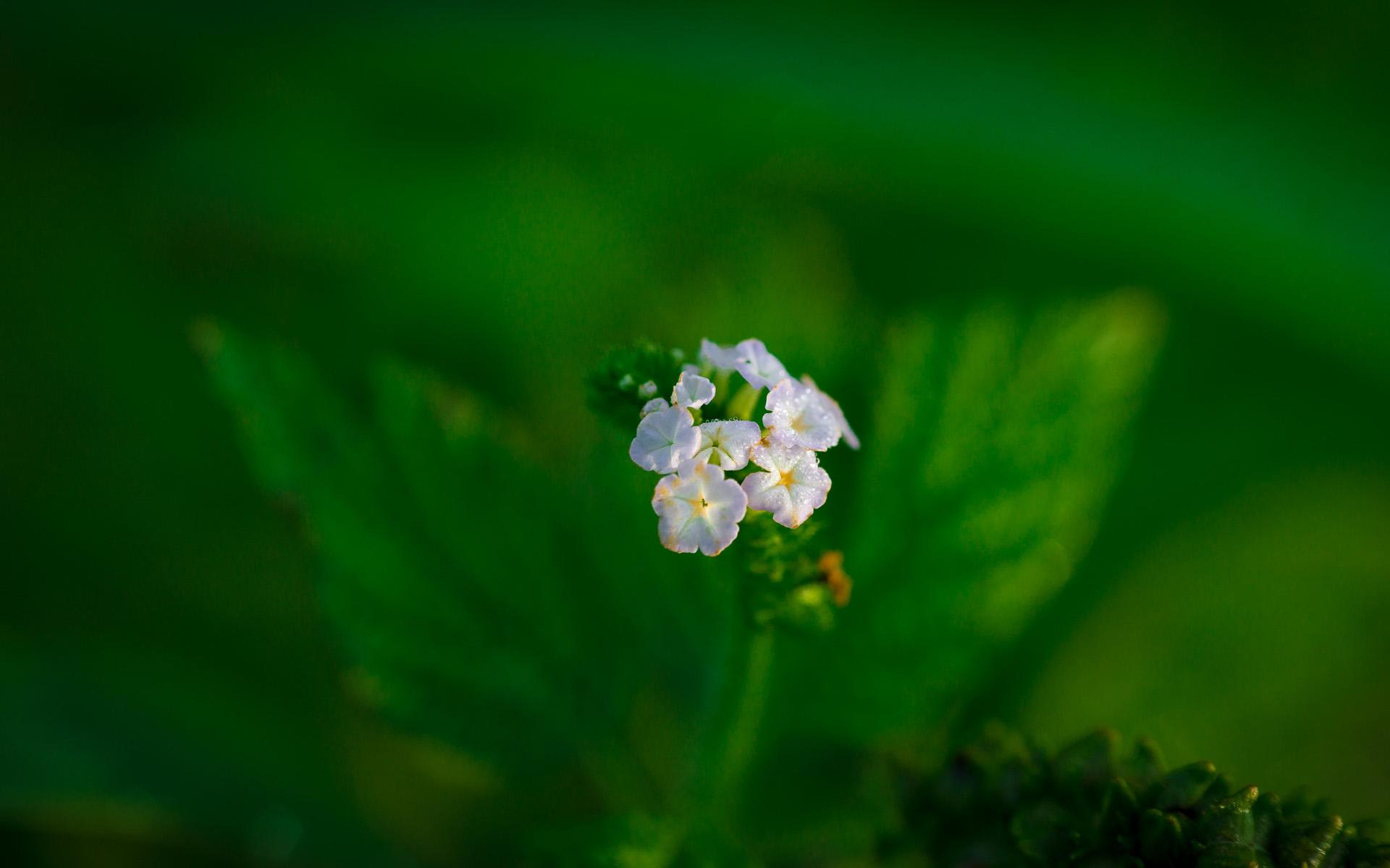 �к��պ�ȡʲô���ֺã������к����������ִ�����