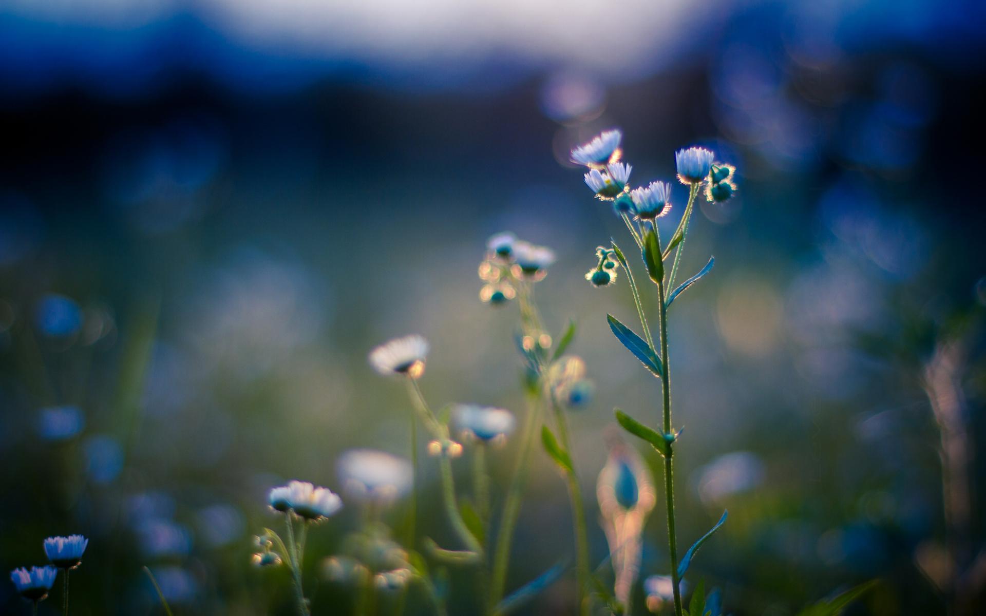 ����Ů������ʲô���ֺã�����Ů�����������ּ�����