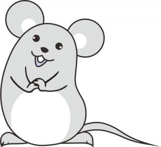 ����Ů����ʲô������������Щ������Ů����������ִ�ȫ��ѣ�