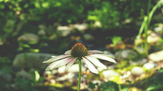 �����к��Ƚϴ��������ִ����ͣ�������к����ִ�ȫ