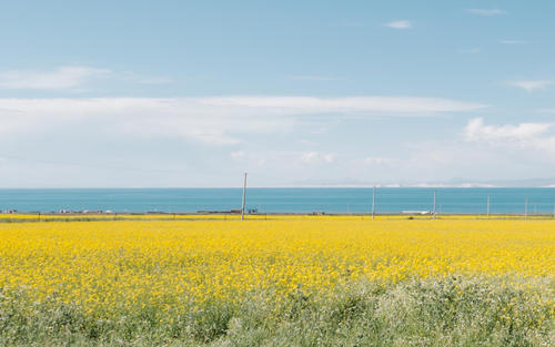 ����Ů����ȡʲô���ֺã����պ������ص�Ů�����־�ѡ