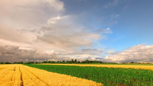 ����Ů�����ʸ������ִ����ͣ�����Ů�����Դ�100�ֵ�����