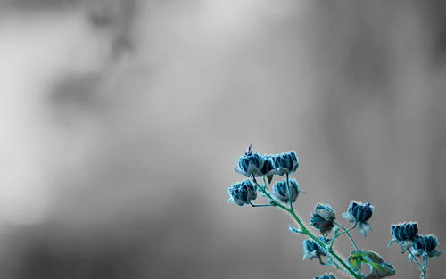 ���ŵ��к�����Ҫ������������ ���ŵ��к����ִ��95������