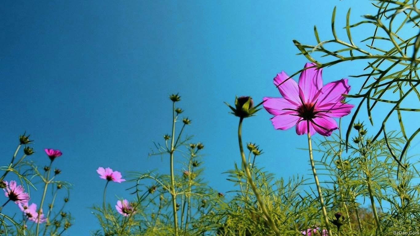 Ů�����Խ�ʲô����Ψ�� ����Ů������ʫ�����ִ�ȫ