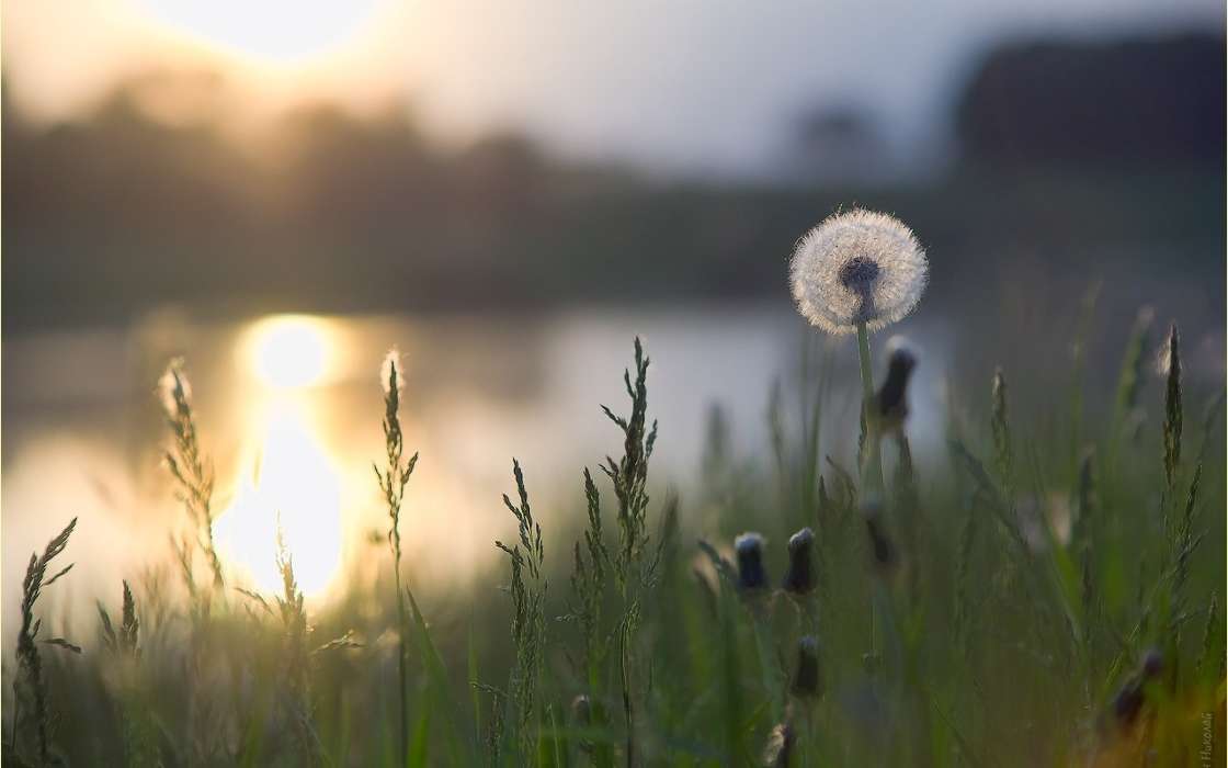 ���յ�Ů������Ψ�������� ����Ů��100�ֵ�����