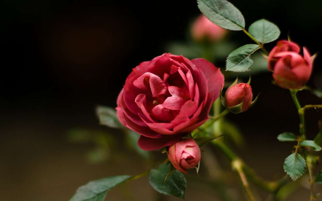 �����򵥶��ص�����Ů������ ��������������Ů2021