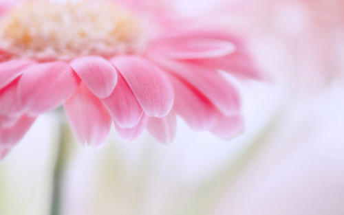 ����Ů��Ư���к��������ּ����ͣ�����Ů��������ȫ