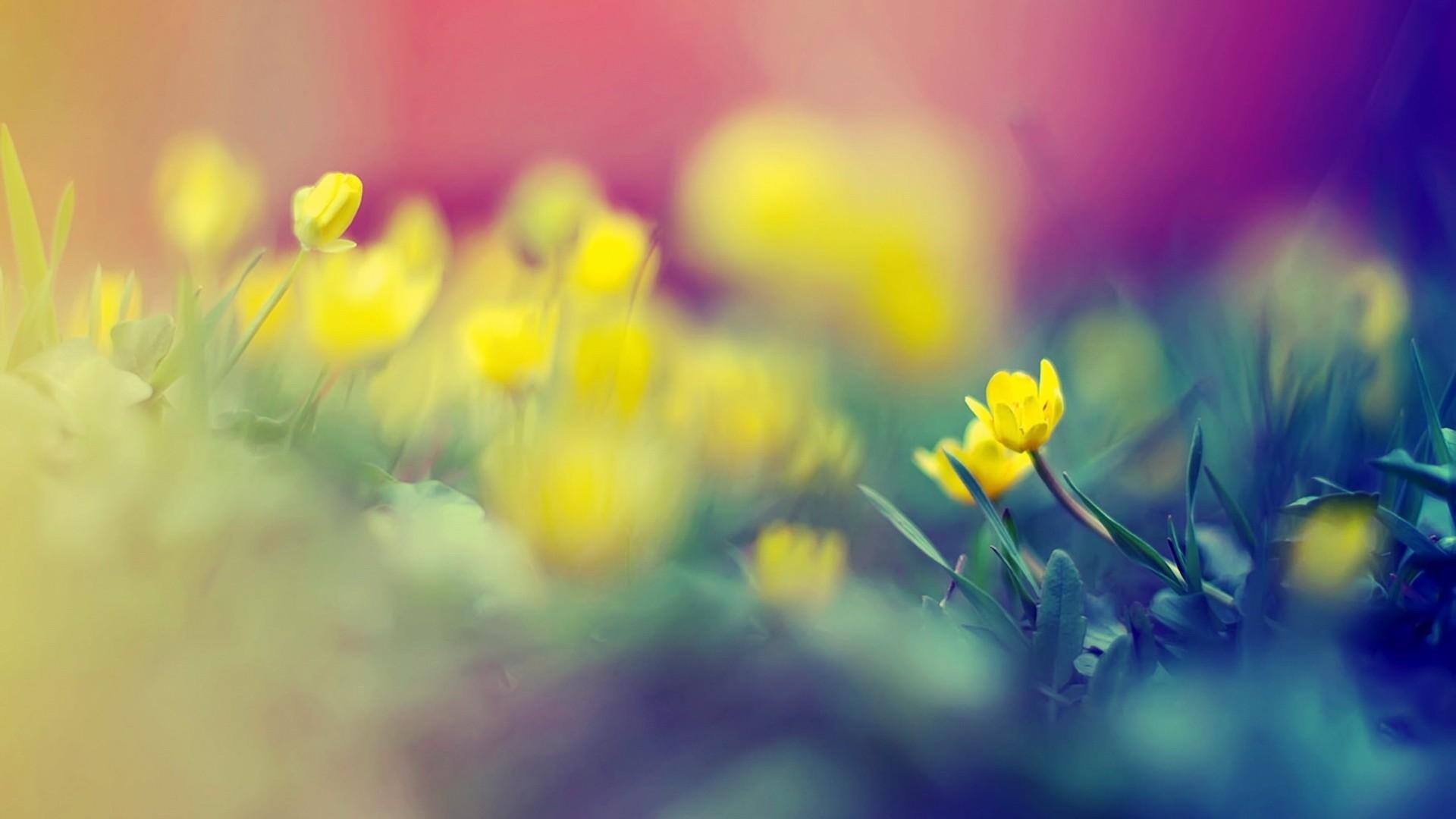 ������к����ֳ�һ���������ô��?�����к����ִ�ȫ�߷������Ƽ�