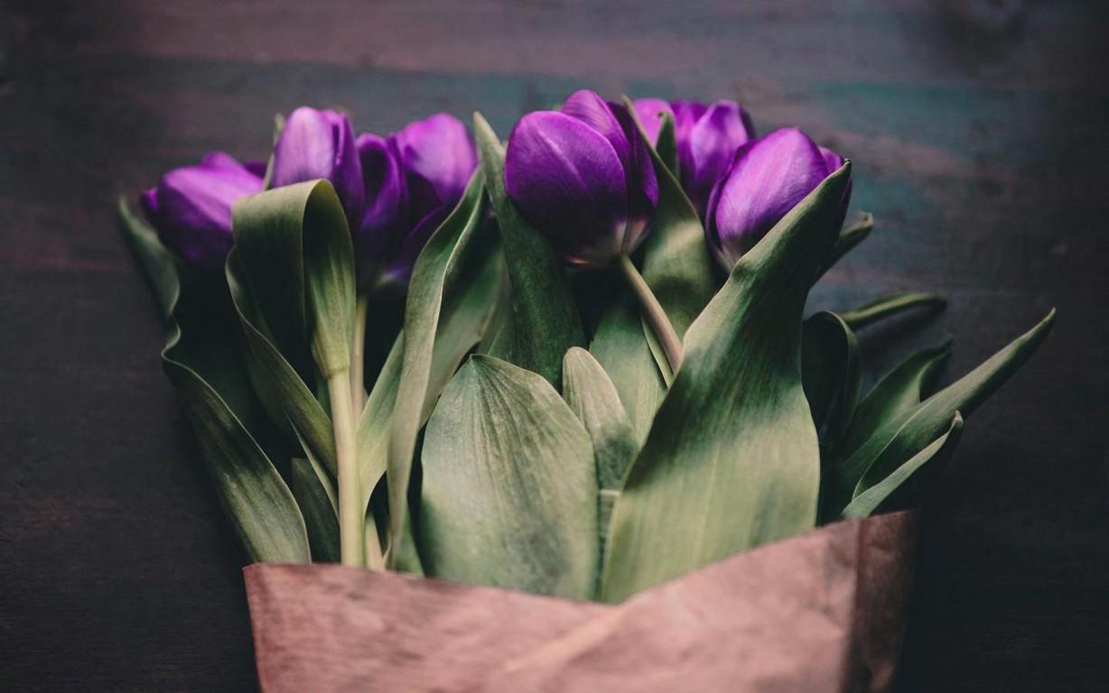 Ů���������������������� ��ȡ���ִ�ȫŮ��������ȫ