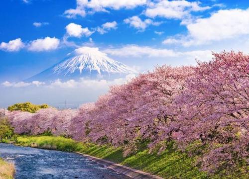 ��θ��Լ�ȡ�������������ֺ��������������ִ�ȫ