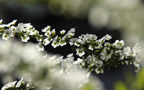 Ů��������������������Щ ����Ů������100�������Ƽ�