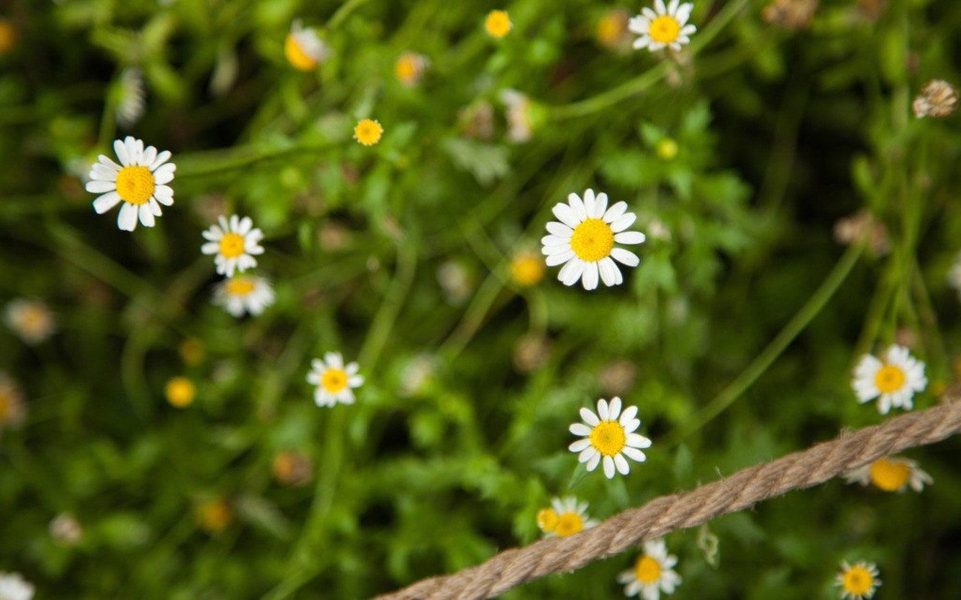 ���ܵ�Ů�����ŵ����� ���ܵ�Ů�����ִ�ȫ