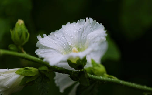 �����к�ȡ�϶������������� �����к�������߷�2021��ȫ