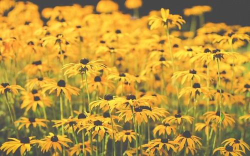 �к�������ȡʲô���ֺ��� �����к����⾳�����ִ�ȫ