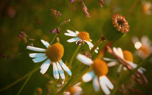 ����ȡ���ĺ�����ʲô��������������Ů������