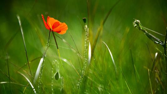 �ճµ��к������к��������ͣ�100�ֳ��������к���