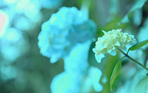 �ճµ��к������к��������ͣ�100�ֳ��������к���