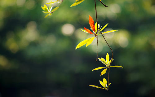 ���Ե�Ů����ʲô������ã�����Ů��Ư���к���������