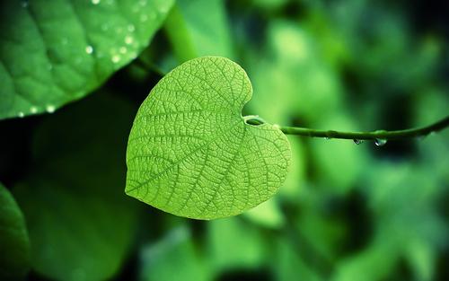 ����Ů��Ư���к��������֣�����100�ֵ�Ů�����ִ�ȫ