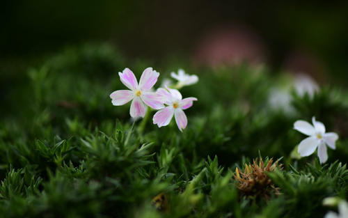 ���޵��к��ӽ�ʲô���ֺ�����������������к����ִ�����