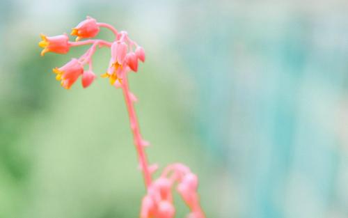 �ն��к������к����ִ����ͣ�100�ֵ��ն��к����־�ѡ