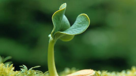 ��л���к���ʲô���ֺã�л�պ����������к�����