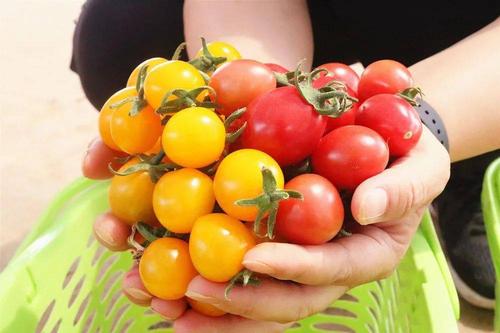 �ʺ�Ů����ˮ������˳�ڵ� ˮ������Ů��������ȫ