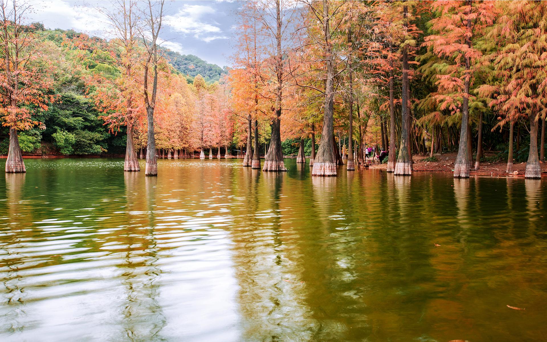 ����������Ԣ����ʲô ��帵�Ů��Ԣ�������ȫ��