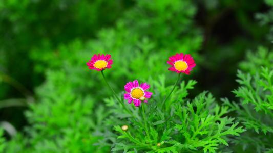 �����������Ԣ��ͺ�����ʲô������ʲô�ִ������