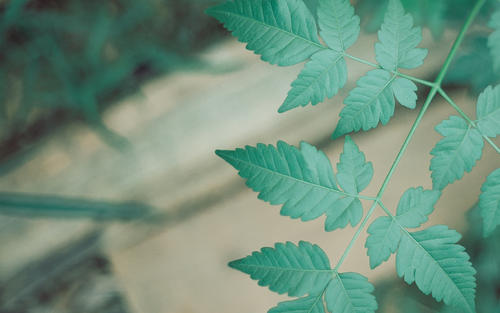 ���Ƶ��к�ȡʲô���ֺã����պ���ϡ�ٵ��к�����