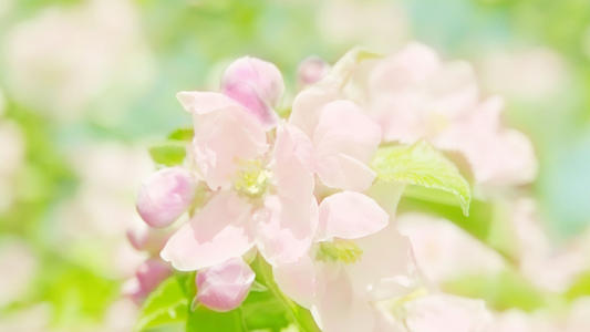 ���պ�������ը���к����֣�100�������к����ִ�ȫ