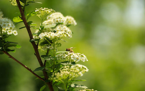 ���պ�������ը���к����֣�100�������к����ִ�ȫ