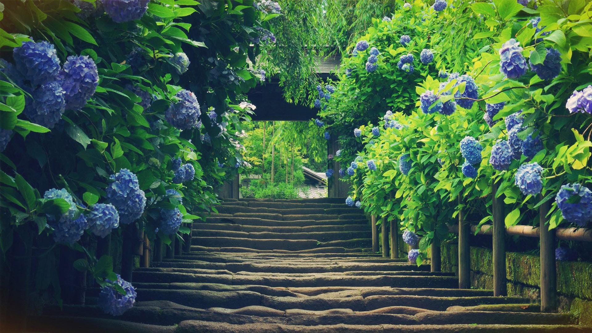 ����ȡ����������Ů�������Ƽ� ����ȡ��Ԣ�����Ů��