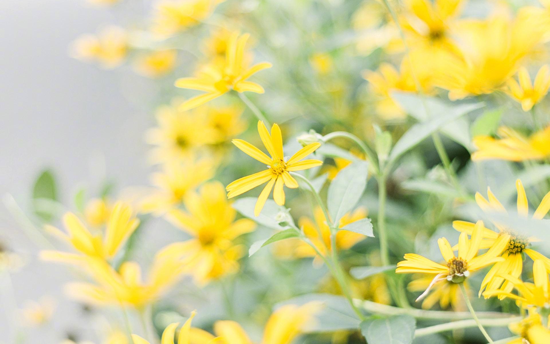 ����ȡ������ʲôԢ�� ����ȡ��Ů��Ԣ��õ����ִ�ȫ