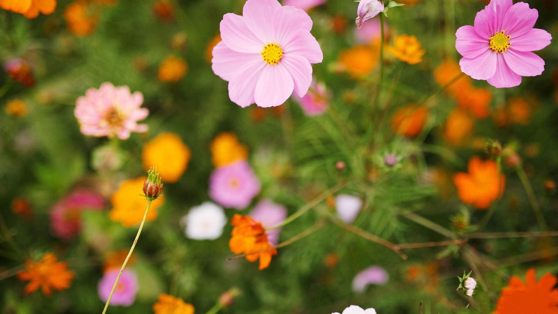 ���ڵ�Ů���������������� ����Ů������100�ֺ�����