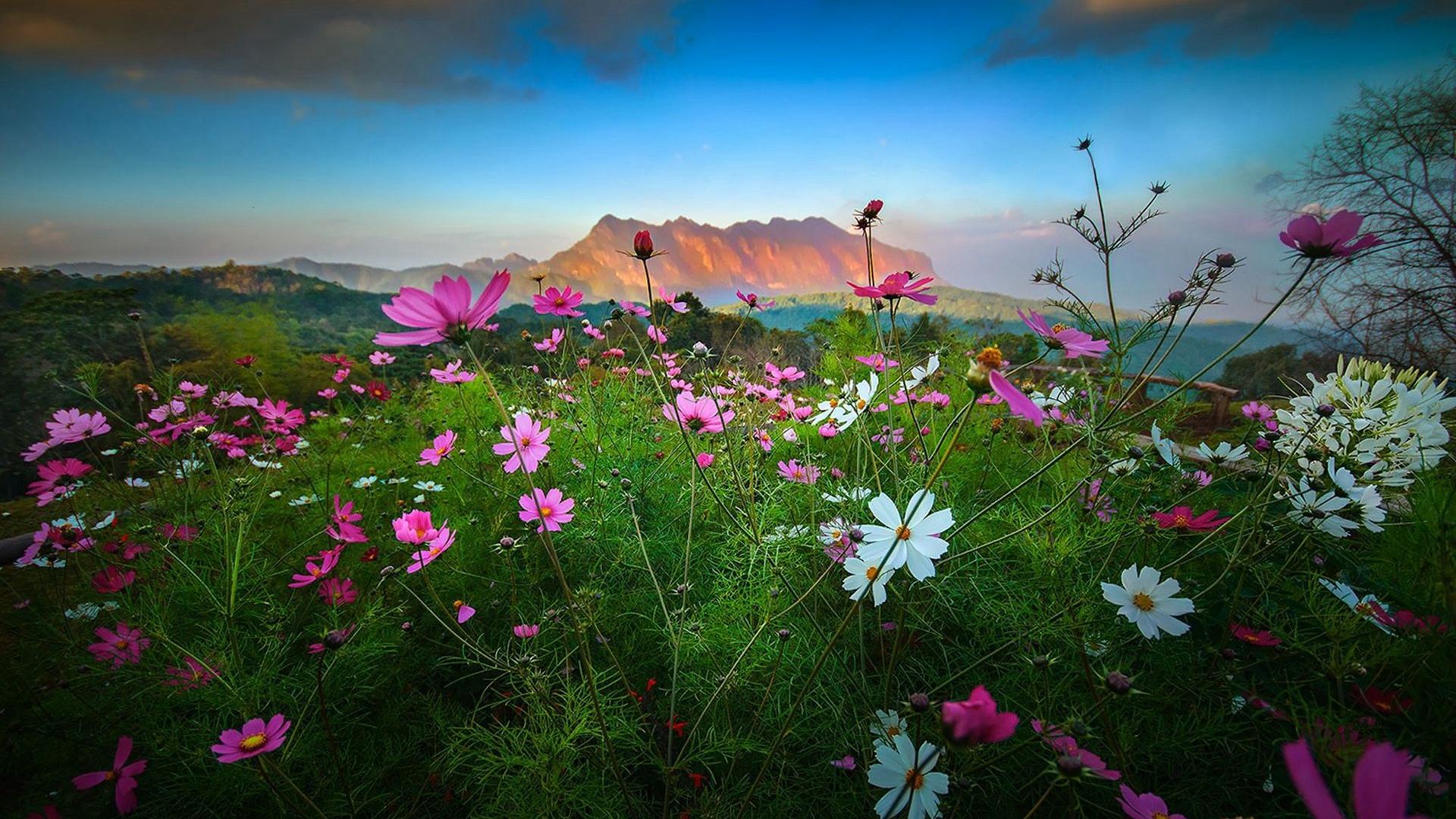 Ů�������ִ���ֵĺ��弰���� ����ֵ�100��Ů������