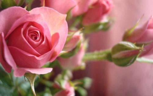 �հ׵��к����ֳ�һ�㣬���������к����ִ�ȫ