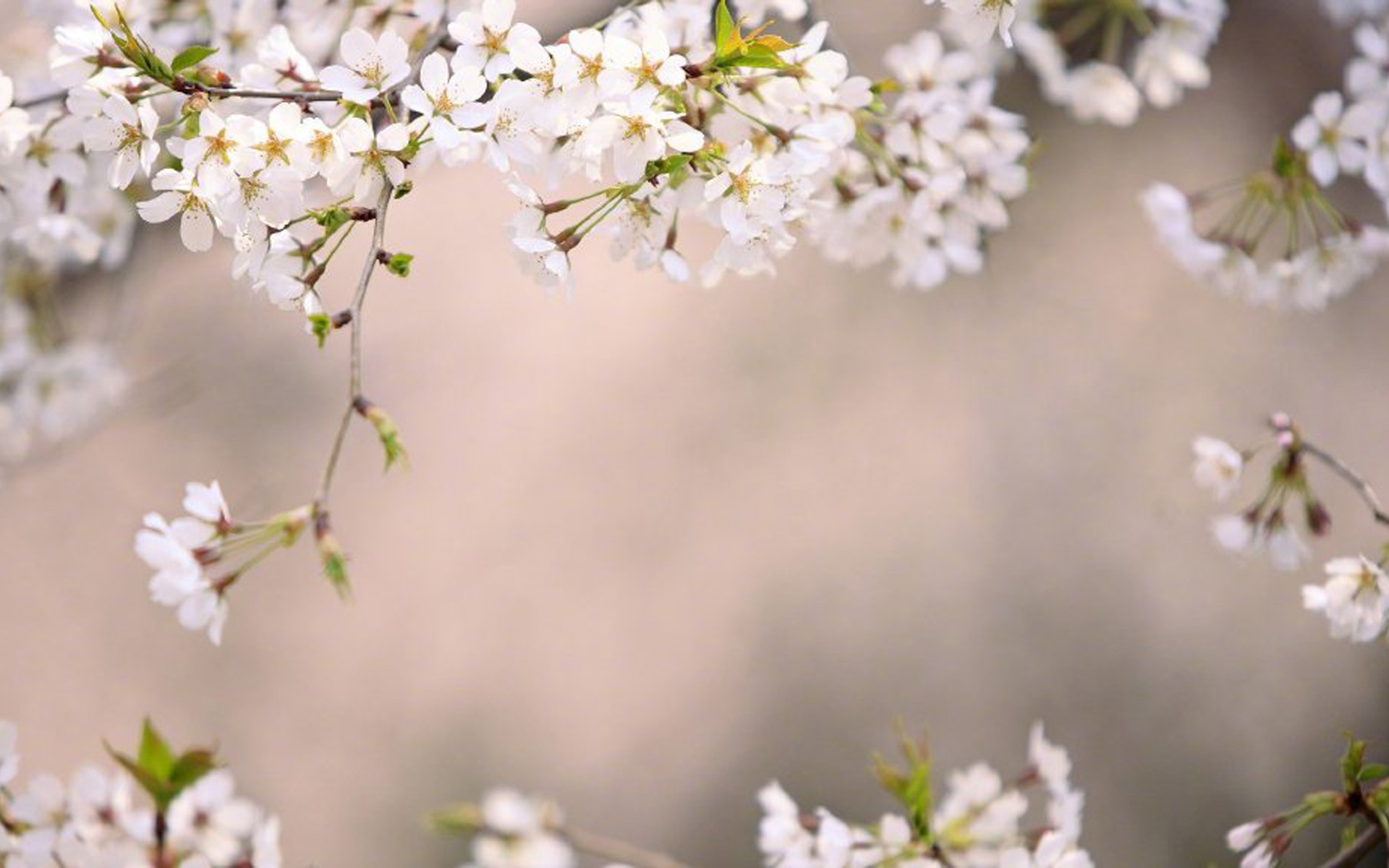 �����к�ȡ��˳�ں������� �����к�100�����ּ���