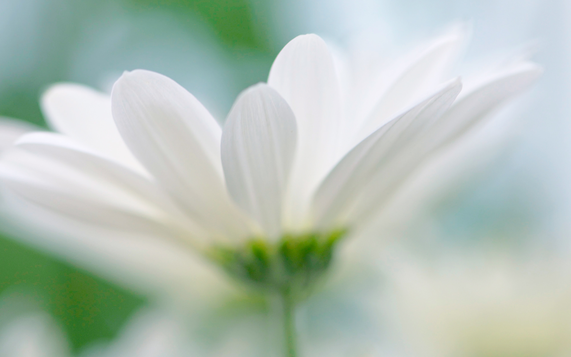 ���ŵ��к���ȡʲô���ֺ��� ���ŵ��к����ִ��95������