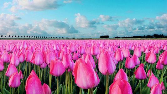 ���ص��к���ʲô���ֺ����������к��߶˴���������