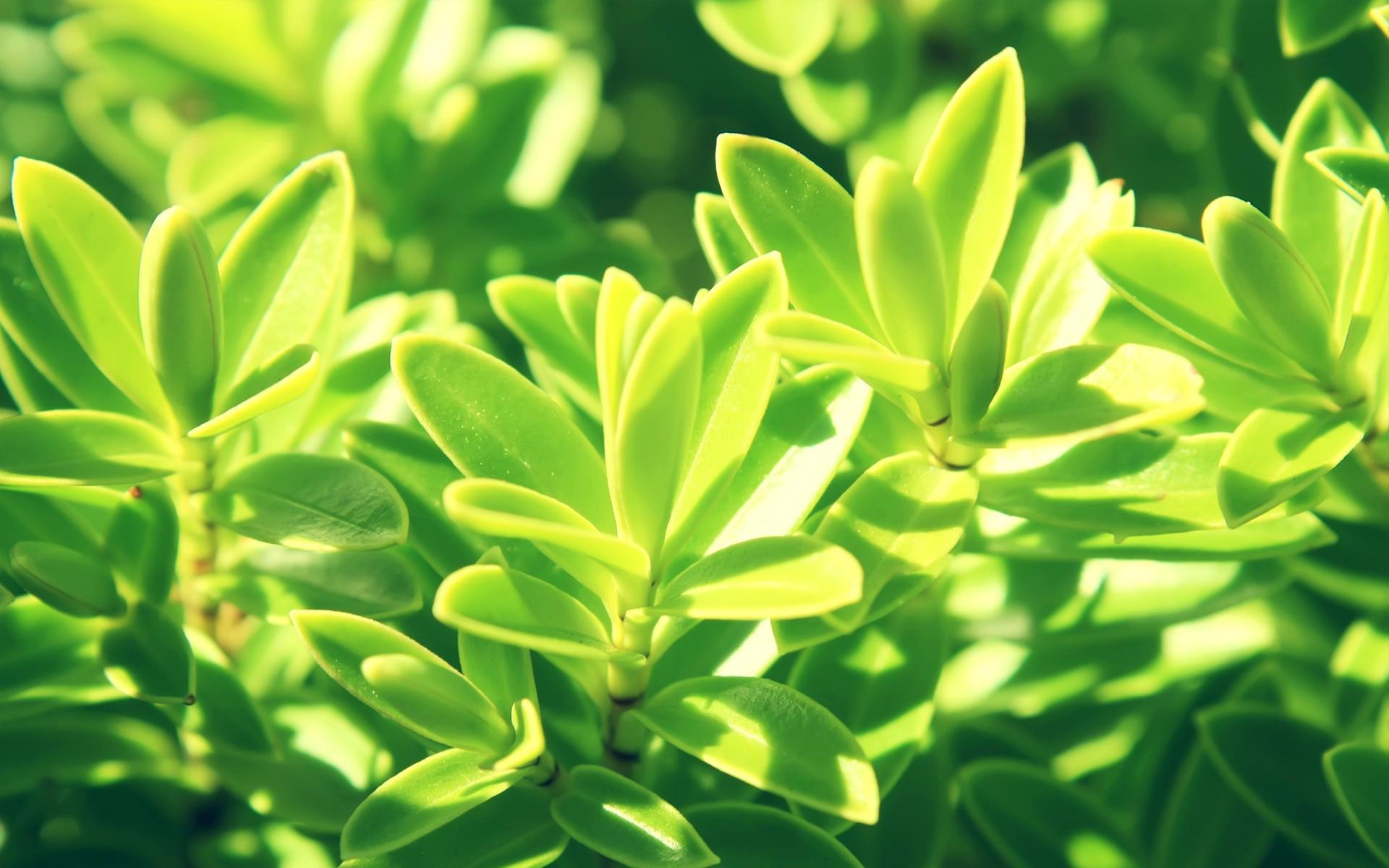 Ů��ȡ����Ԣ��õ�������Щ Ů���߹��вŻ����ִ�ȫ