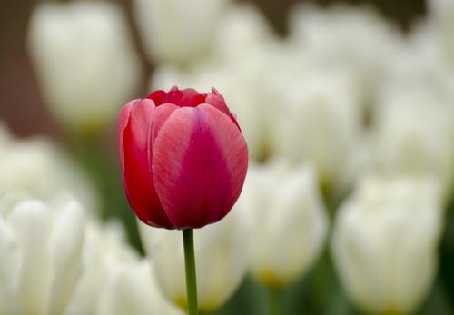 �����ߵ���������Ů�� ����Ů�����ִ�ȫΨ��Ԣ��