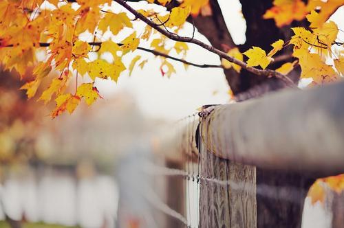 �ʺ����յ��к����ּ����ͣ������к���ʫ�������