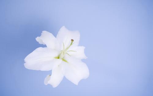 ���յ��к�����ʫ������ģ������к�ȡ���ִ�ȫ