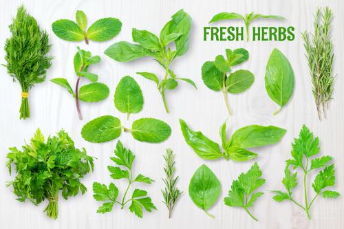 ����ҩ������ȡ����ô�����𣿺���Ԣ���ֺõ���ҩ�����Ƽ���